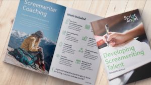 screenwriter coaching brochure